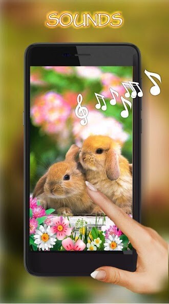 Run android online APK Bunnies Live Wallpaper from MyAndroid or emulate Bunnies Live Wallpaper using MyAndroid Run android online APK Bunnies Live Wallpaper from MyAndroid or emulate Bunnies Live Wallpaper using MyAndroid