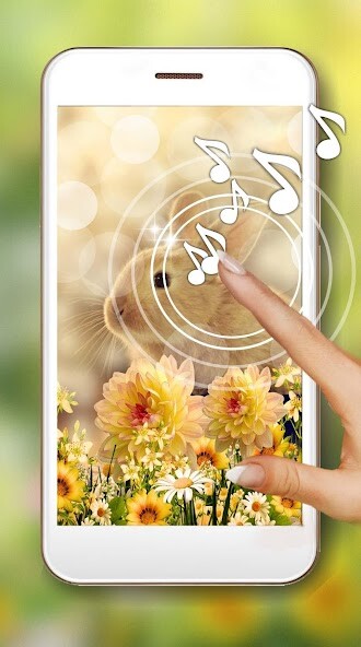 Run android online APK Bunny Fluffy Live Wallpaper from MyAndroid or emulate Bunny Fluffy Live Wallpaper using MyAndroid Run android online APK Bunny Fluffy Live Wallpaper from MyAndroid or emulate Bunny Fluffy Live Wallpaper using MyAndroid