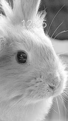 Emulate Android APK Bunny Funny Wall Lock Emulate Android APK Bunny Funny Wall Lock