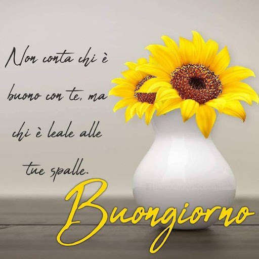 Run android online APK Buongiorno buona serata buona notte from MyAndroid or emulate Buongiorno buona serata buona notte using MyAndroid Run android online APK Buongiorno buona serata buona notte from MyAndroid or emulate Buongiorno buona serata buona notte using MyAndroid