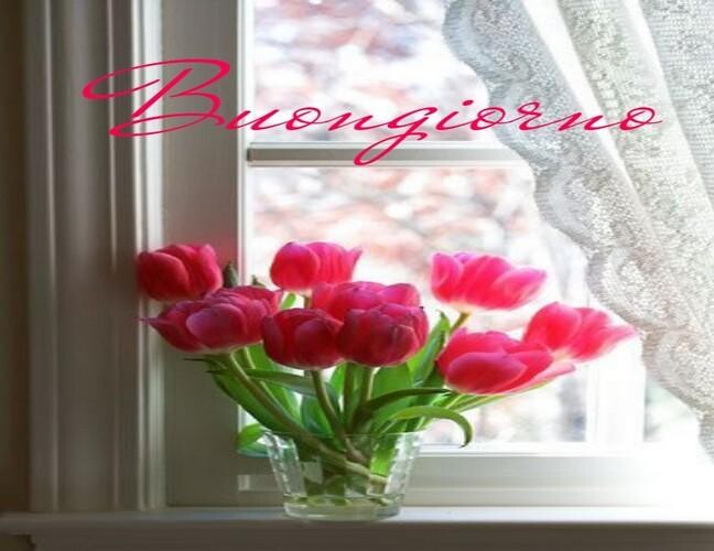Run android online APK Buongiorno con i Fiori e di Rose from MyAndroid or emulate Buongiorno con i Fiori e di Rose using MyAndroid