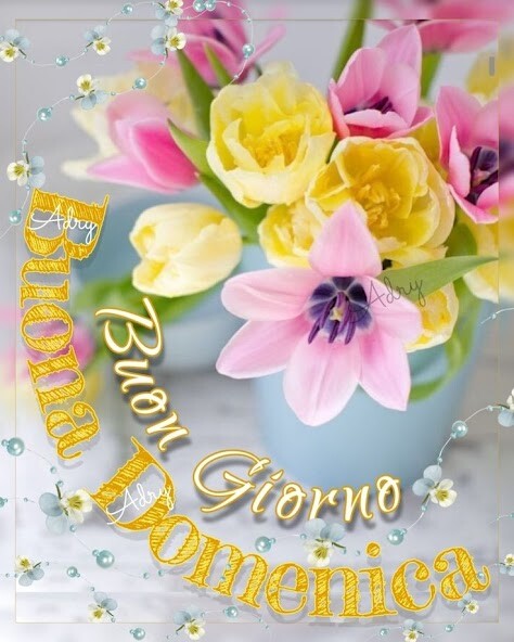 Run android online APK Buongiorno E Buona Notte from MyAndroid or emulate Buongiorno E Buona Notte using MyAndroid