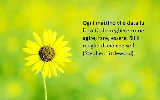 Run android online APK buongiorno frasi belle sulla vita from MyAndroid or emulate buongiorno frasi belle sulla vita using MyAndroid