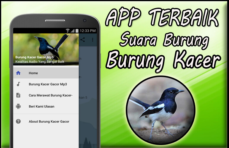 Run android online APK Burung Kacer Gacor Mp3 Full Offline from MyAndroid or emulate Burung Kacer Gacor Mp3 Full Offline using MyAndroid