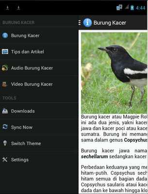 Emulate Android APK Burung Kacer Emulate Android APK Burung Kacer