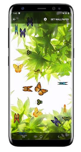 Run android online APK Butterfly and Blossom live wallpaper from MyAndroid or emulate Butterfly and Blossom live wallpaper using MyAndroid