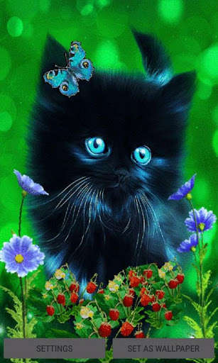 Run android online APK Butterfly Cat Live Wallpaper from MyAndroid or emulate Butterfly Cat Live Wallpaper using MyAndroid
