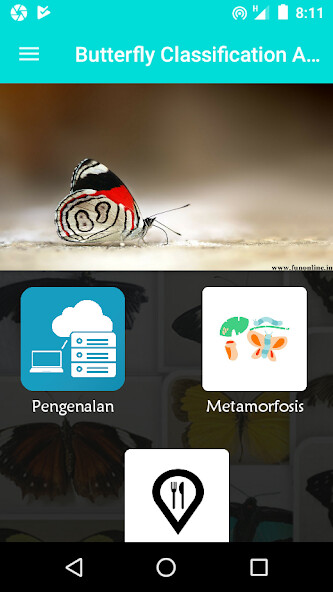 Run android online APK Butterfly Classification - Learn about butterflies from MyAndroid or emulate Butterfly Classification - Learn about butterflies using MyAndroid