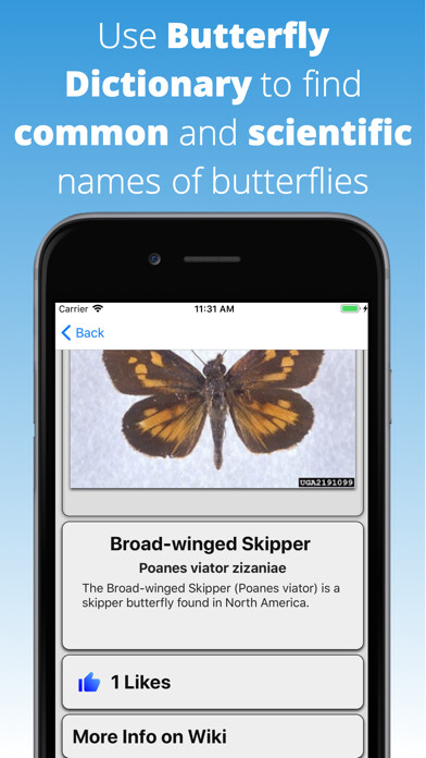 Emulate iPhone app Butterfly Dictionary using MyAndroid Emulate iPhone app Butterfly Dictionary using MyAndroid