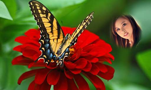 Run android online APK Butterfly Photo Frames HD from MyAndroid or emulate Butterfly Photo Frames HD using MyAndroid Run android online APK Butterfly Photo Frames HD from MyAndroid or emulate Butterfly Photo Frames HD using MyAndroid