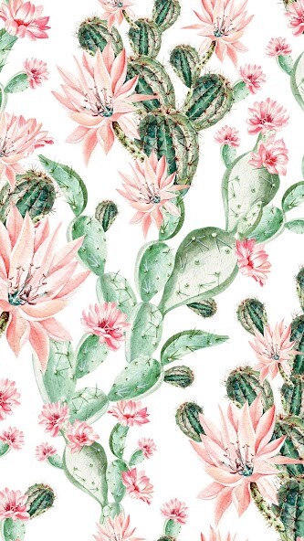 Emulate Android APK Cactus Wallpapers Emulate Android APK Cactus Wallpapers