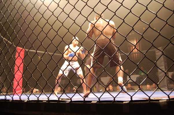 Emulate Android APK Cage Fighting Wallpapers - HD Emulate Android APK Cage Fighting Wallpapers - HD