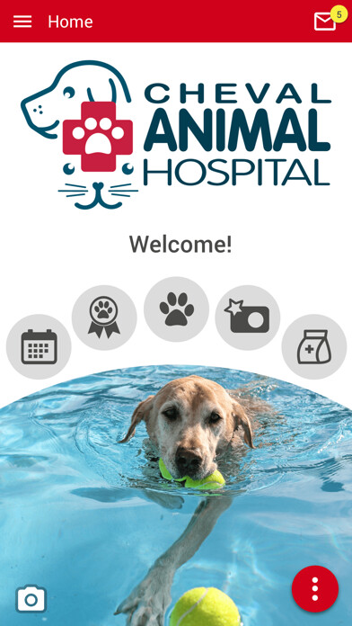 Emulate iPhone app CAH Tampa Bay using MyAndroid Emulate iPhone app CAH Tampa Bay using MyAndroid