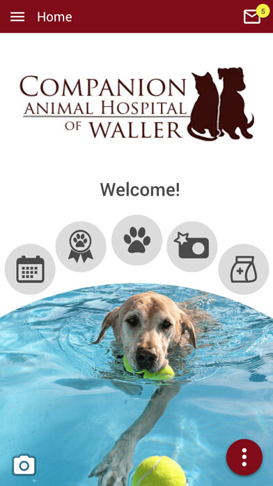 Emulate iPhone app CAHWaller using MyAndroid Emulate iPhone app CAHWaller using MyAndroid