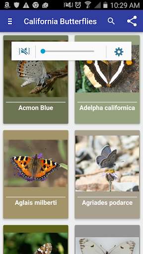 Run android online APK California Butterflies from MyAndroid or emulate California Butterflies using MyAndroid Run android online APK California Butterflies from MyAndroid or emulate California Butterflies using MyAndroid