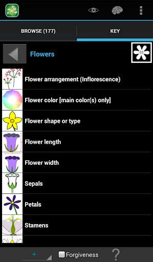 Run android online APK California Lilies Demo from MyAndroid or emulate California Lilies Demo using MyAndroid Run android online APK California Lilies Demo from MyAndroid or emulate California Lilies Demo using MyAndroid
