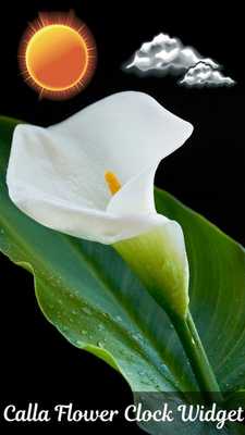 Emulate Android APK Calla Flower Clock Widget Emulate Android APK Calla Flower Clock Widget