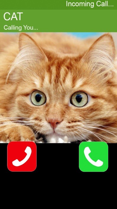 Emulate iPhone app Call Cat 2 using MyAndroid Emulate iPhone app Call Cat 2 using MyAndroid