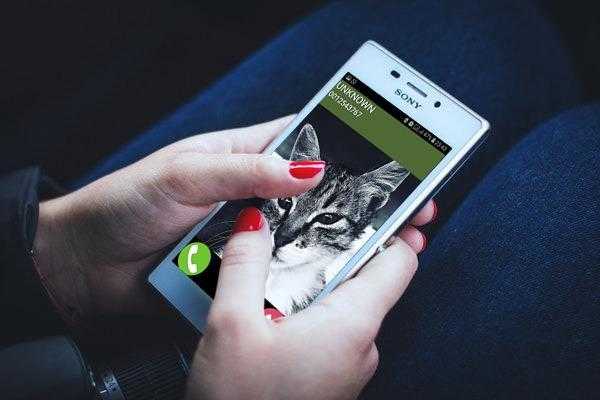 Emulate Android APK call fake cat Emulate Android APK call fake cat