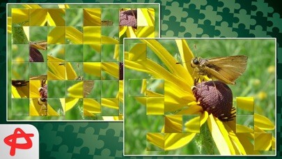 Emulate iPhone app Call of Nature: Free Jigsaw Puzzle using MyAndroid