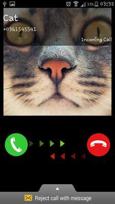 Emulate Android APK Call Video Cat - Fake Call