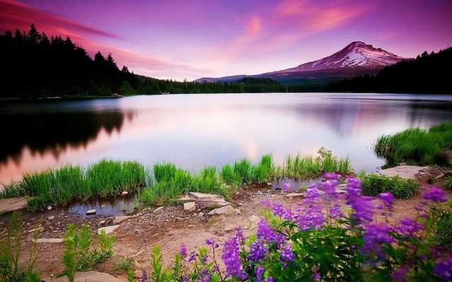 Emulate Android APK Calm Lake - Ramadan 2014 Emulate Android APK Calm Lake - Ramadan 2014