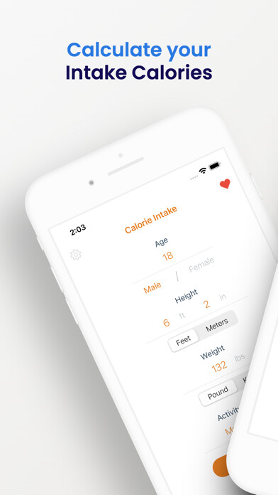 Emulate iPhone app Calories Intake Calculator using MyAndroid Emulate iPhone app Calories Intake Calculator using MyAndroid