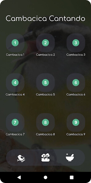 Run android online APK Cambacica Cantando from MyAndroid or emulate Cambacica Cantando using MyAndroid Run android online APK Cambacica Cantando from MyAndroid or emulate Cambacica Cantando using MyAndroid