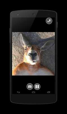 Emulate Android APK Camera Mirror Emulate Android APK Camera Mirror