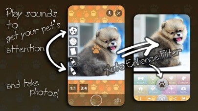 Emulate iPhone app Camera Pets using MyAndroid