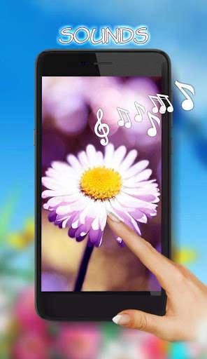 Emulate Android APK Camomiles Free LWP Emulate Android APK Camomiles Free LWP