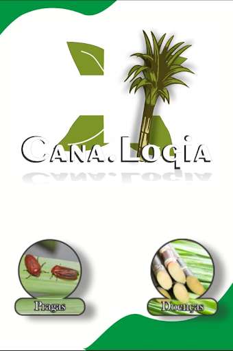 Run android online APK Cana.Logia from MyAndroid or emulate Cana.Logia using MyAndroid Run android online APK Cana.Logia from MyAndroid or emulate Cana.Logia using MyAndroid