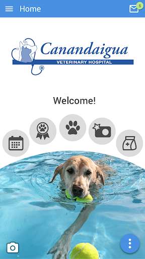 Run android online APK Canandaigua Vet from MyAndroid or emulate Canandaigua Vet using MyAndroid Run android online APK Canandaigua Vet from MyAndroid or emulate Canandaigua Vet using MyAndroid