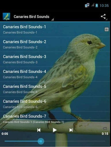 Emulate Android APK Canaries Bird Sounds Emulate Android APK Canaries Bird Sounds