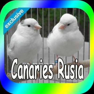 Emulate Android APK Canaries Rusia Emulate Android APK Canaries Rusia