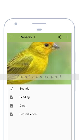 Emulate Android APK Canary Emulate Android APK Canary