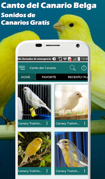 Run android online APK Canary Song Belgian Timbrado from MyAndroid or emulate Canary Song Belgian Timbrado using MyAndroid Run android online APK Canary Song Belgian Timbrado from MyAndroid or emulate Canary Song Belgian Timbrado using MyAndroid