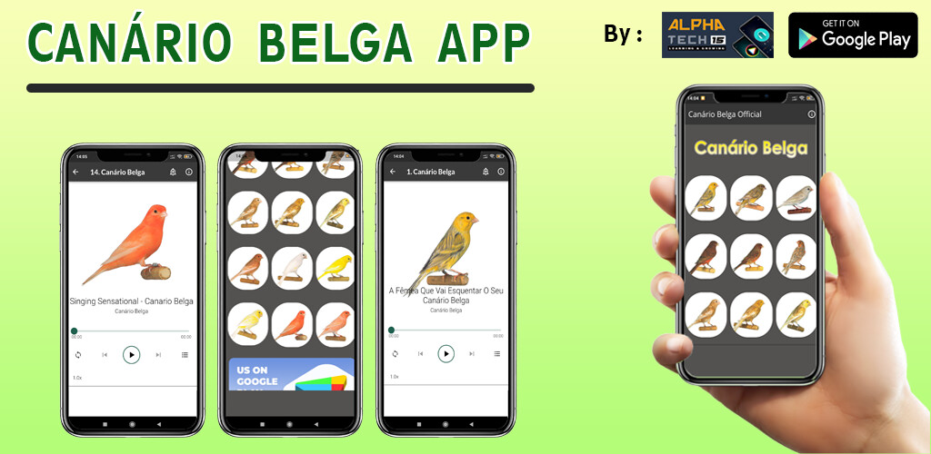 Run android online APK Canário Belga : Cantar Muito from MyAndroid or emulate Canário Belga : Cantar Muito using MyAndroid