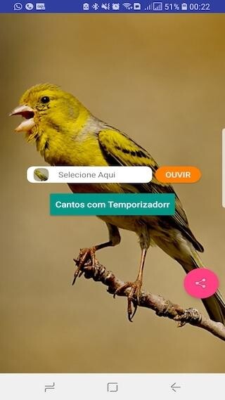 Run android online APK Canário Belga Fibra from MyAndroid or emulate Canário Belga Fibra using MyAndroid Run android online APK Canário Belga Fibra from MyAndroid or emulate Canário Belga Fibra using MyAndroid