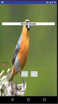 Emulate Android APK Canto Bico De Veludo Emulate Android APK Canto Bico De Veludo