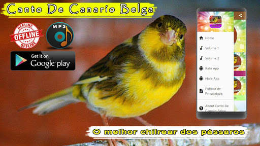 Run android online APK Canto De Canario Belga from MyAndroid or emulate Canto De Canario Belga using MyAndroid Run android online APK Canto De Canario Belga from MyAndroid or emulate Canto De Canario Belga using MyAndroid