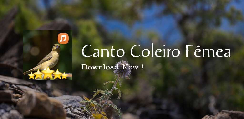 Run android online APK Canto de coleiro fêmea from MyAndroid or emulate Canto de coleiro fêmea using MyAndroid Run android online APK Canto de coleiro fêmea from MyAndroid or emulate Canto de coleiro fêmea using MyAndroid