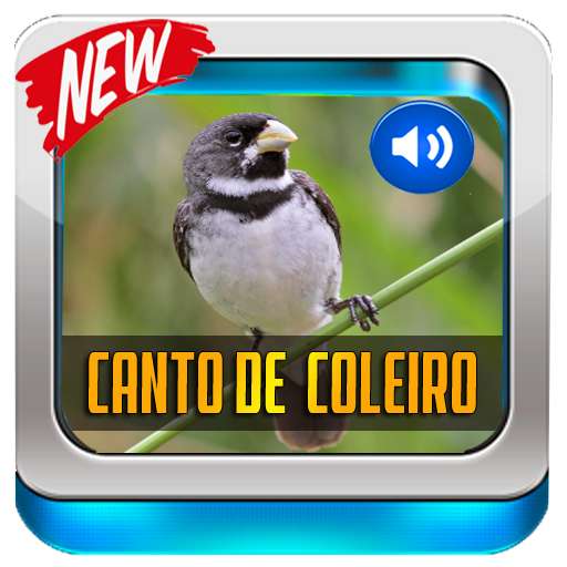 Run android online APK Canto De Colerio TuiTui from MyAndroid or emulate Canto De Colerio TuiTui using MyAndroid