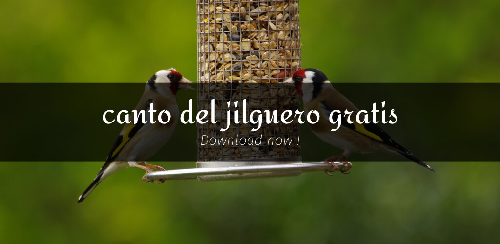 Run android online APK Canto del jilguero gratis from MyAndroid or emulate Canto del jilguero gratis using MyAndroid