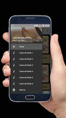 Emulate Android APK Canto de Perdiz Offline Emulate Android APK Canto de Perdiz Offline