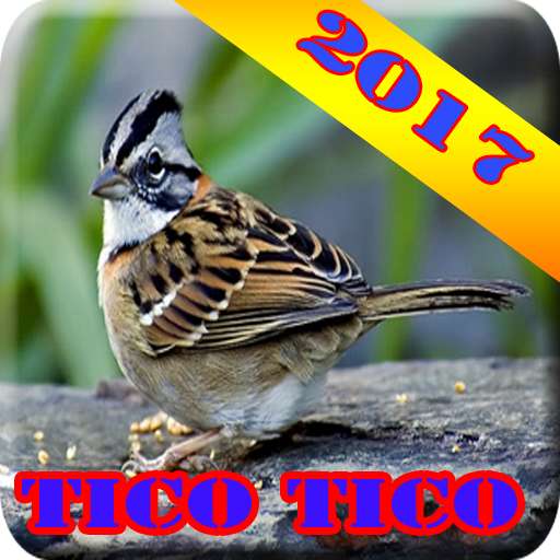 Run android online APK Canto de Tico Tico Novo 2017 from MyAndroid or emulate Canto de Tico Tico Novo 2017 using MyAndroid