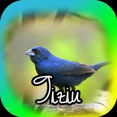 Emulate Android APK Canto de Tiziu Berasileiros Emulate Android APK Canto de Tiziu Berasileiros