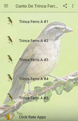 Emulate Android APK Canto De Trinca Ferro A Emulate Android APK Canto De Trinca Ferro A