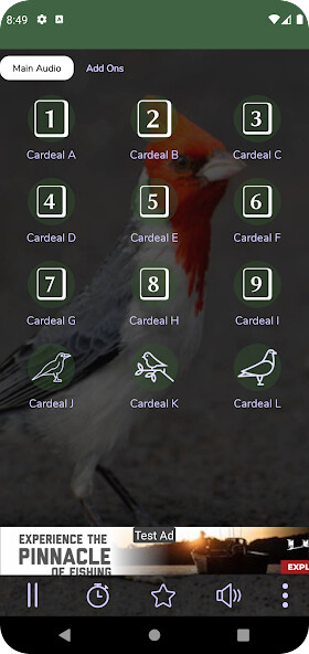 Run android online APK Canto do Cardeal 4 Notas from MyAndroid or emulate Canto do Cardeal 4 Notas using MyAndroid Run android online APK Canto do Cardeal 4 Notas from MyAndroid or emulate Canto do Cardeal 4 Notas using MyAndroid