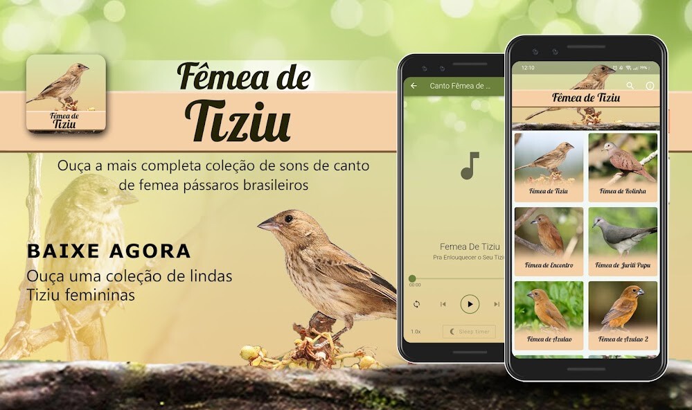 Run android online APK Canto Fêmea de Tiziu from MyAndroid or emulate Canto Fêmea de Tiziu using MyAndroid